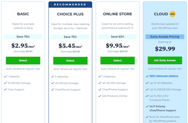 Pricing Plan Template 3